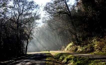 парафія парафія