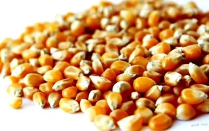 според popcorn