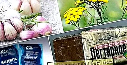 лікування кишкових паразитів