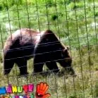 lessonивотен lessonивотен