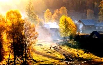 Фреди Меркјури