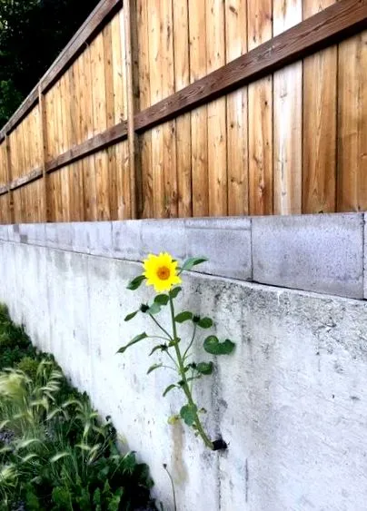 nekünk