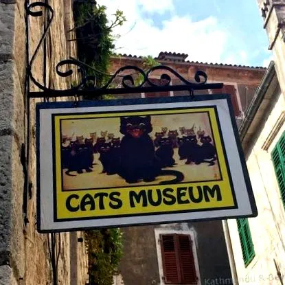 котор фјордот