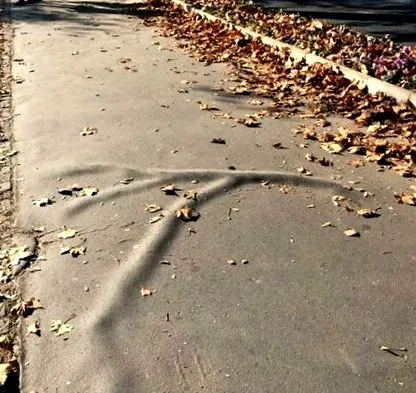 emlékeztetve