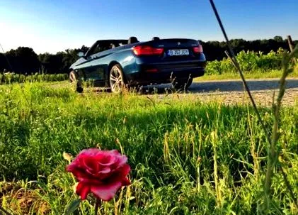 határ
