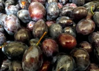 gyógyítás