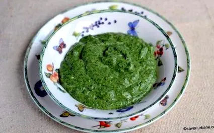 csalán csalán