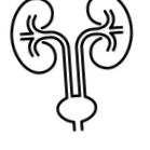 chat лікаря