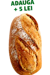 vegetáriánus