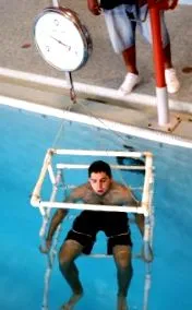 testzsír