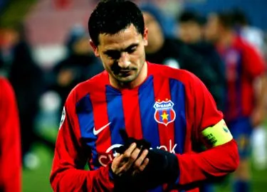 mirel