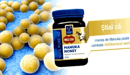 kezelés manuka