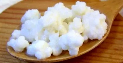 tejkefirrel tibeti