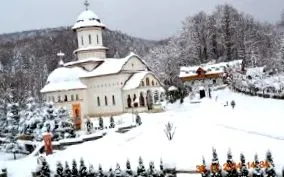 cartisoara szent