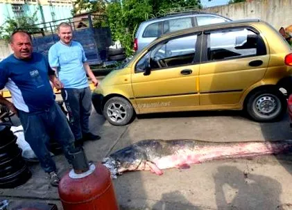 заробено