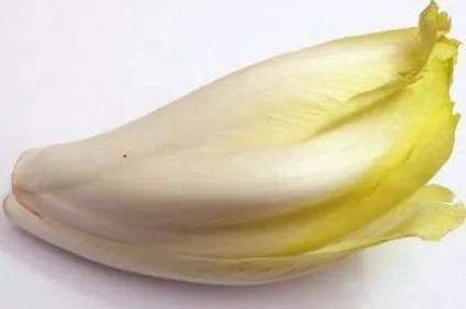 храна храна