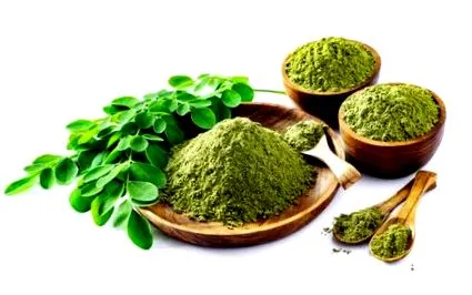 Provita Nutrition