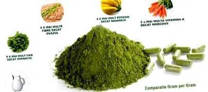 oleifera