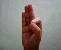 mudras