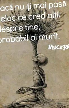 муцегаи