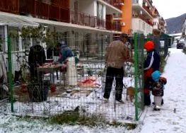 година