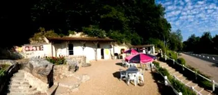 gombamúzeum