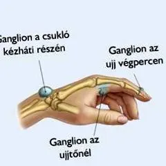 mâinii