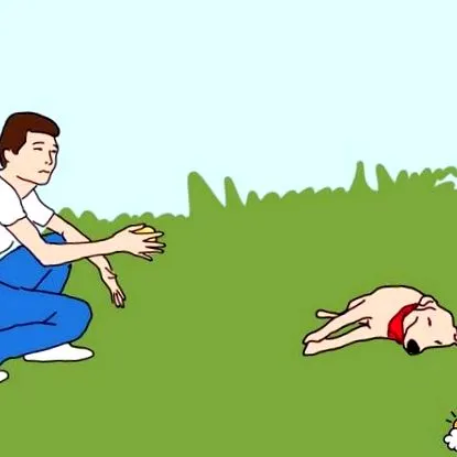 чудесни съвета