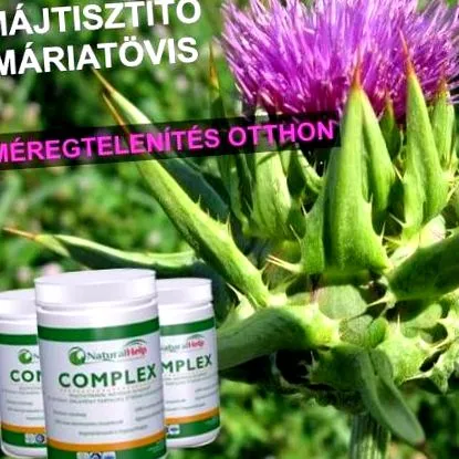 ефективних health