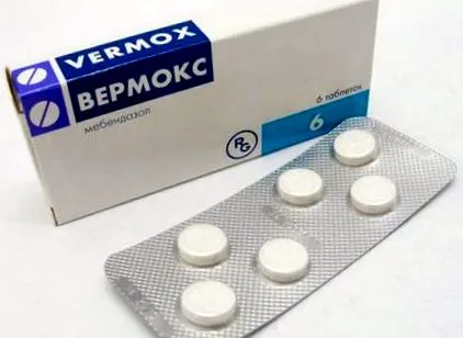 глисти възрастни червеи възрастни