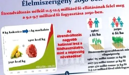 лелмез глобус