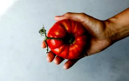 които истински