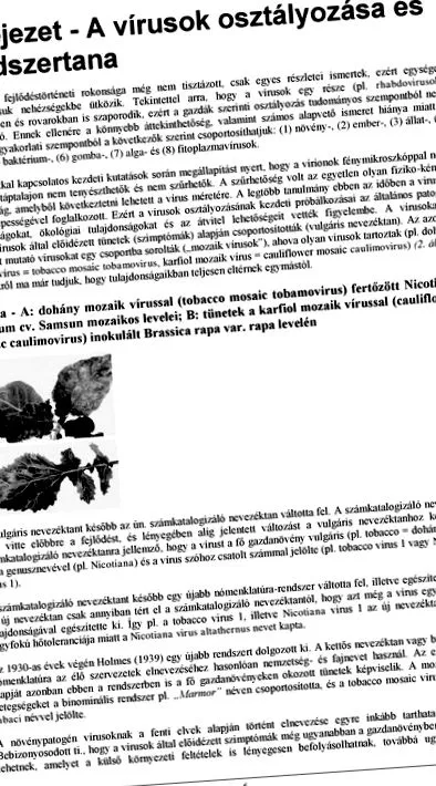 лечение лечение