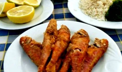 скара gastroabc