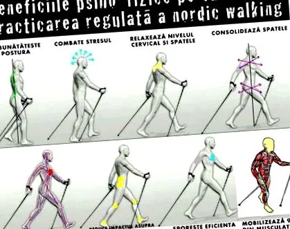 walking nordic