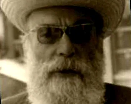 steinhardt nicolae