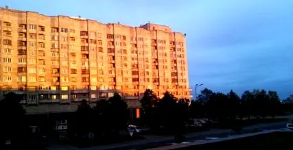 білі