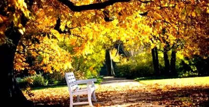 november