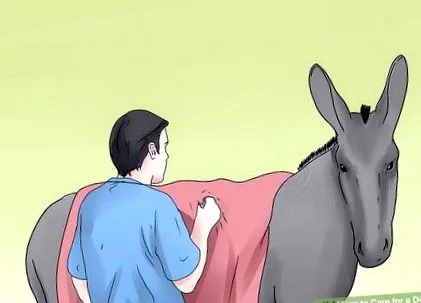 луѓето