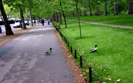 Бакингемската палата