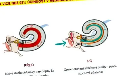 реално