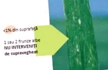 segítségével segítségével