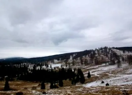 пропозиції