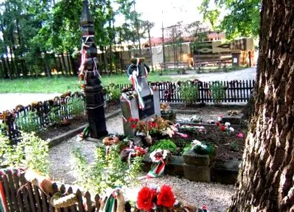 пропозиції