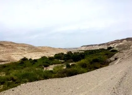 sables