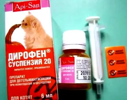 вікіпедія енциклопедія