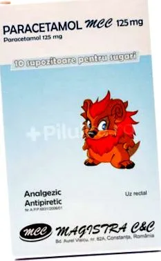 magistra magistra