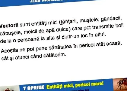 Féreg tabletták