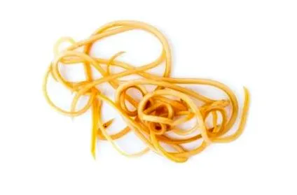 vanelli
