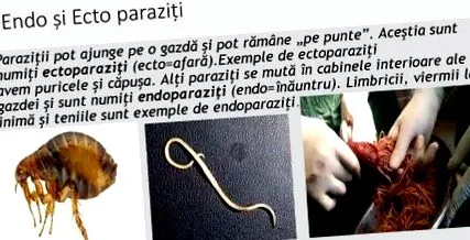 alatti